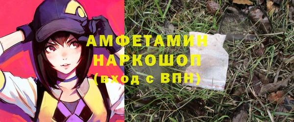 сатива Елабуга