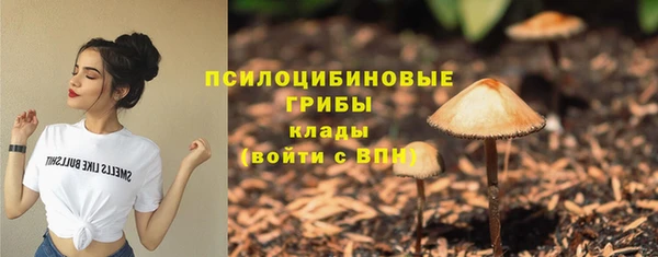 сатива Елабуга