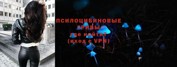 крисы Елизово