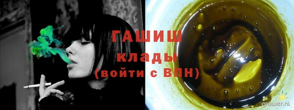 крисы Елизово