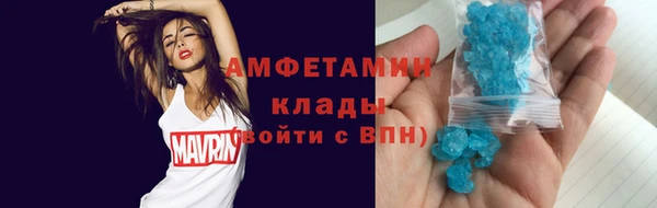 сатива Елабуга