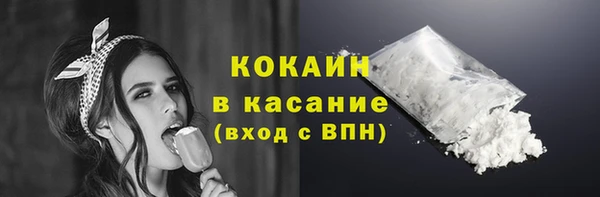 сатива Елабуга