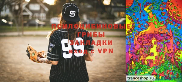 сатива Елабуга