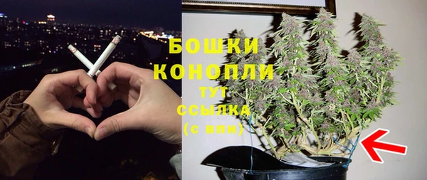 сатива Елабуга