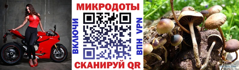 Купить где  Грайворон  Галлюциногенные грибы мицелий 